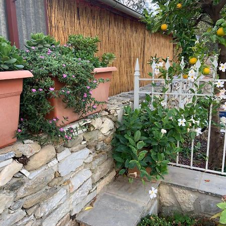 Antica Casa Nel Borgo Apartment Пиетрасанта Екстериор снимка